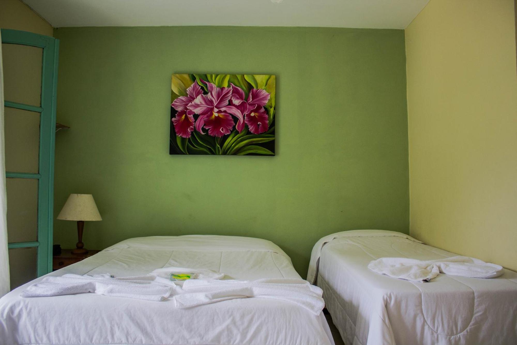 Hotel Fazenda Caledônia Inn Nova Friburgo Extérieur photo